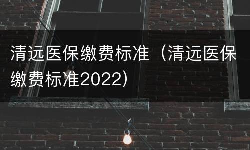 清远医保缴费标准（清远医保缴费标准2022）