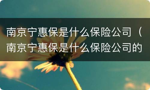 南京宁惠保是什么保险公司（南京宁惠保是什么保险公司的产品）