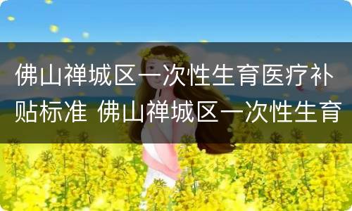 佛山禅城区一次性生育医疗补贴标准 佛山禅城区一次性生育医疗补贴标准文件