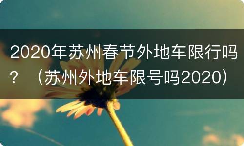 2020年苏州春节外地车限行吗？（苏州外地车限号吗2020）