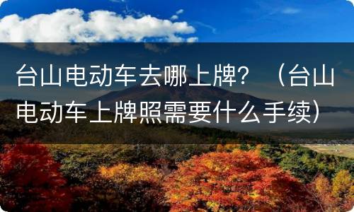 台山电动车去哪上牌？（台山电动车上牌照需要什么手续）