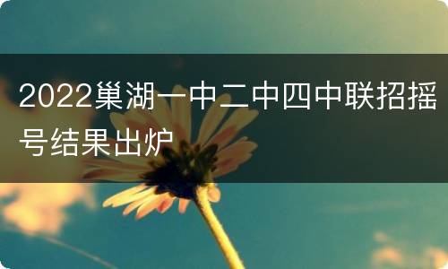 2022巢湖一中二中四中联招摇号结果出炉