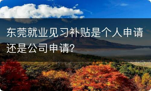 东莞就业见习补贴是个人申请还是公司申请？