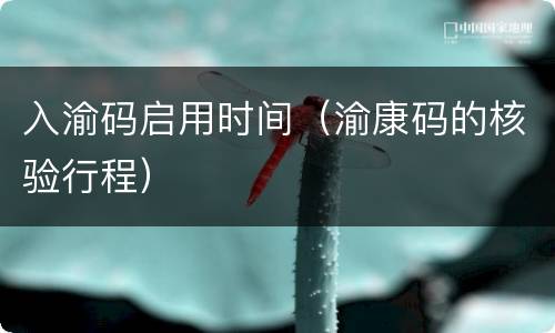 入渝码启用时间（渝康码的核验行程）