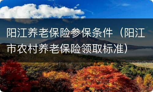 阳江养老保险参保条件（阳江市农村养老保险领取标准）