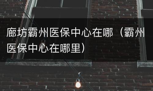 廊坊霸州医保中心在哪（霸州医保中心在哪里）