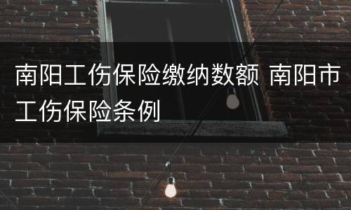南阳工伤保险缴纳数额 南阳市工伤保险条例