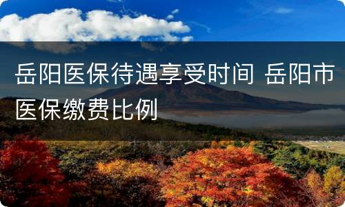 岳阳医保待遇享受时间 岳阳市医保缴费比例