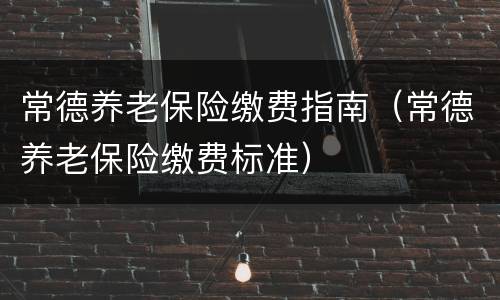 常德养老保险缴费指南（常德养老保险缴费标准）