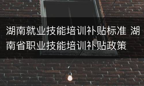 湖南就业技能培训补贴标准 湖南省职业技能培训补贴政策
