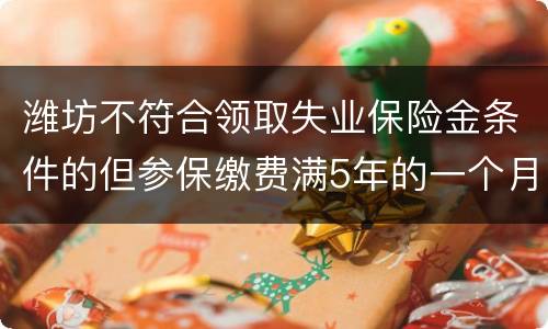 潍坊不符合领取失业保险金条件的但参保缴费满5年的一个月可以领多少钱？