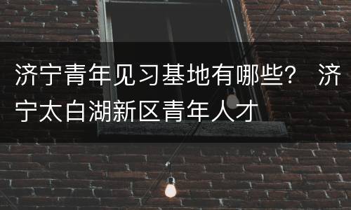济宁青年见习基地有哪些？ 济宁太白湖新区青年人才