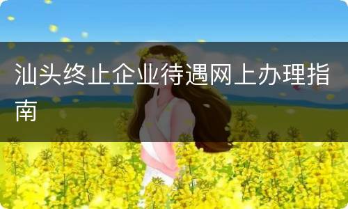 汕头终止企业待遇网上办理指南