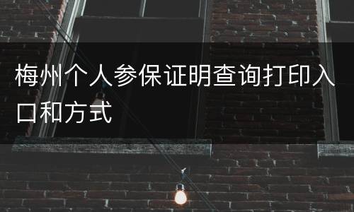 梅州个人参保证明查询打印入口和方式