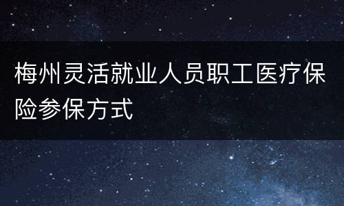 梅州灵活就业人员职工医疗保险参保方式