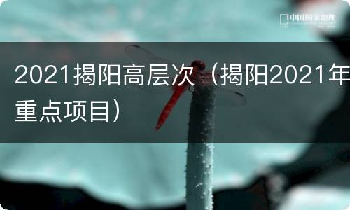 2021揭阳高层次（揭阳2021年重点项目）