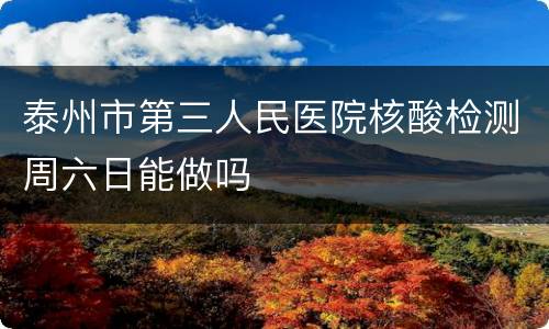 泰州市第三人民医院核酸检测周六日能做吗