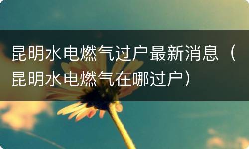 昆明水电燃气过户最新消息（昆明水电燃气在哪过户）