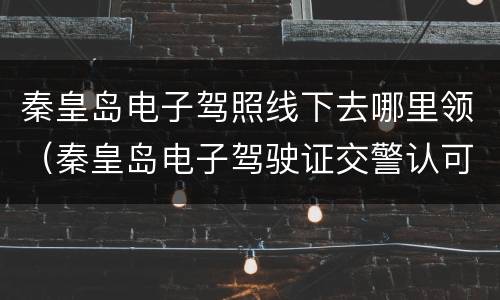 秦皇岛电子驾照线下去哪里领（秦皇岛电子驾驶证交警认可吗）