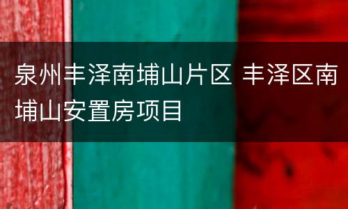 泉州丰泽南埔山片区 丰泽区南埔山安置房项目