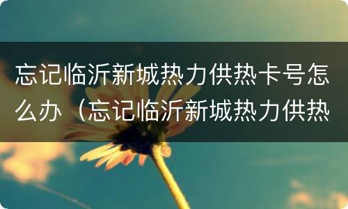 忘记临沂新城热力供热卡号怎么办（忘记临沂新城热力供热卡号怎么办理）