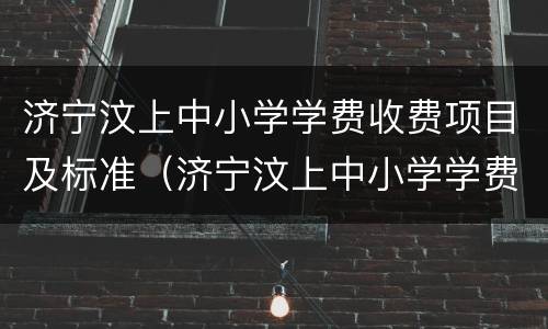 济宁汶上中小学学费收费项目及标准（济宁汶上中小学学费收费项目及标准表）