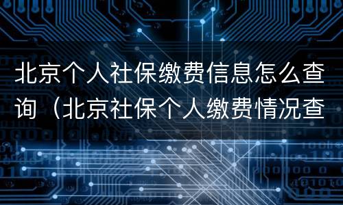 北京个人社保缴费信息怎么查询（北京社保个人缴费情况查询）