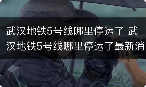 武汉地铁5号线哪里停运了 武汉地铁5号线哪里停运了最新消息