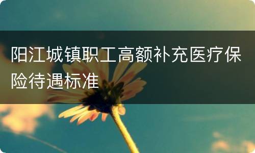 阳江城镇职工高额补充医疗保险待遇标准
