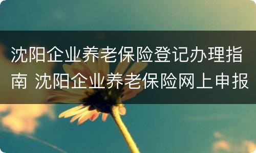 沈阳企业养老保险登记办理指南 沈阳企业养老保险网上申报流程