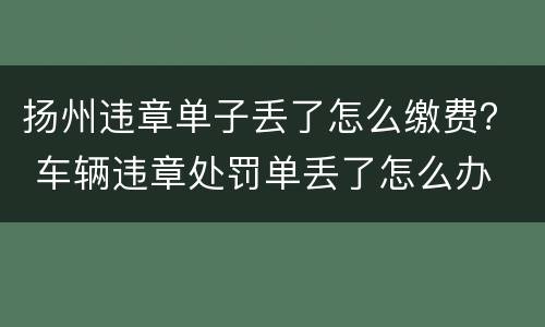 扬州违章单子丢了怎么缴费？ 车辆违章处罚单丢了怎么办