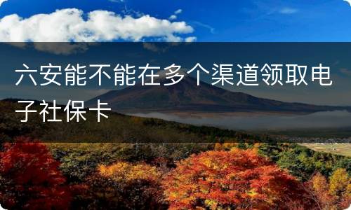 六安能不能在多个渠道领取电子社保卡