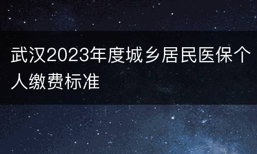武汉2023年度城乡居民医保个人缴费标准