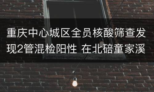 重庆中心城区全员核酸筛查发现2管混检阳性 在北碚童家溪镇