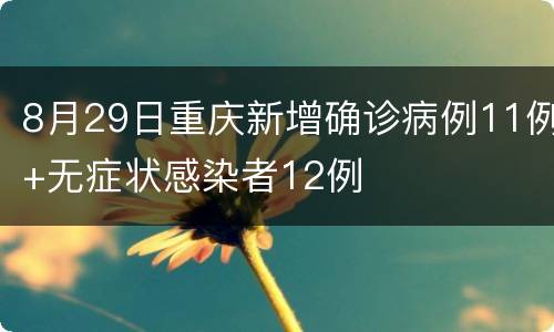 8月29日重庆新增确诊病例11例+无症状感染者12例