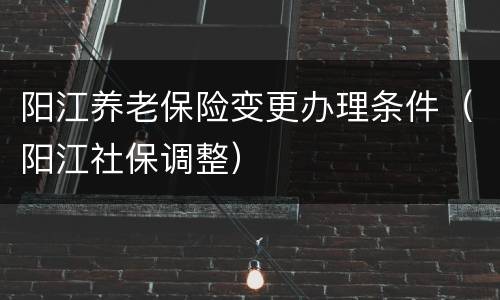 阳江养老保险变更办理条件（阳江社保调整）