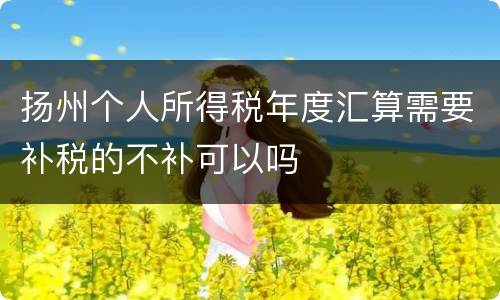 扬州个人所得税年度汇算需要补税的不补可以吗