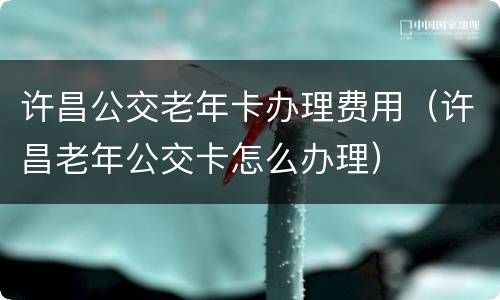 许昌公交老年卡办理费用（许昌老年公交卡怎么办理）