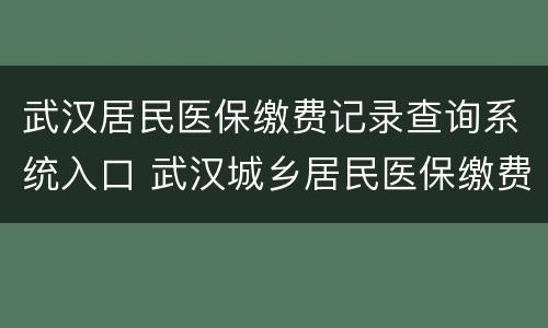 武汉居民医保缴费记录查询系统入口 武汉城乡居民医保缴费查询