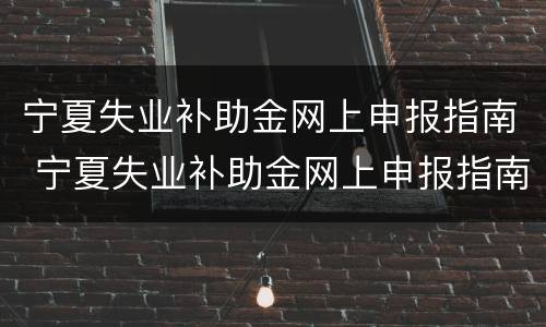 宁夏失业补助金网上申报指南 宁夏失业补助金网上申报指南下载