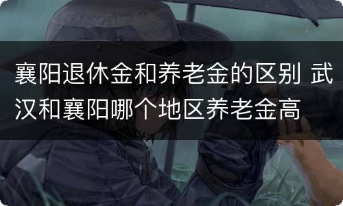 襄阳退休金和养老金的区别 武汉和襄阳哪个地区养老金高