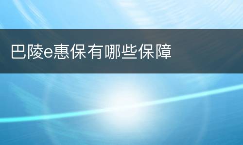 巴陵e惠保有哪些保障