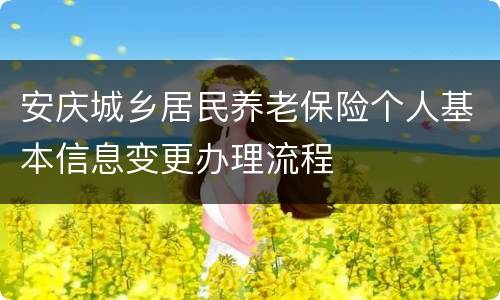 安庆城乡居民养老保险个人基本信息变更办理流程