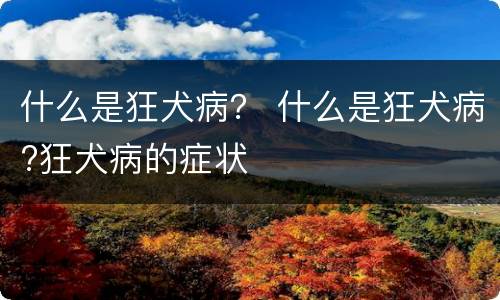 什么是狂犬病？ 什么是狂犬病?狂犬病的症状