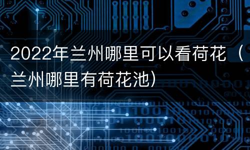 2022年兰州哪里可以看荷花（兰州哪里有荷花池）