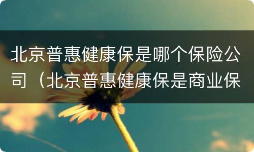 北京普惠健康保是哪个保险公司（北京普惠健康保是商业保险吗）