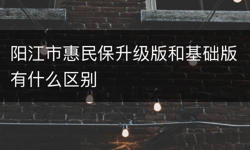 阳江市惠民保升级版和基础版有什么区别