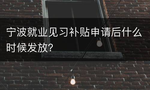 宁波就业见习补贴申请后什么时候发放？