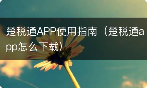 楚税通APP使用指南（楚税通app怎么下载）