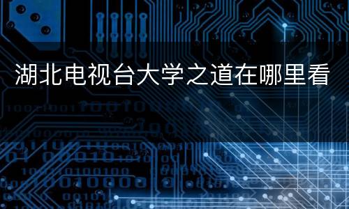 湖北电视台大学之道在哪里看